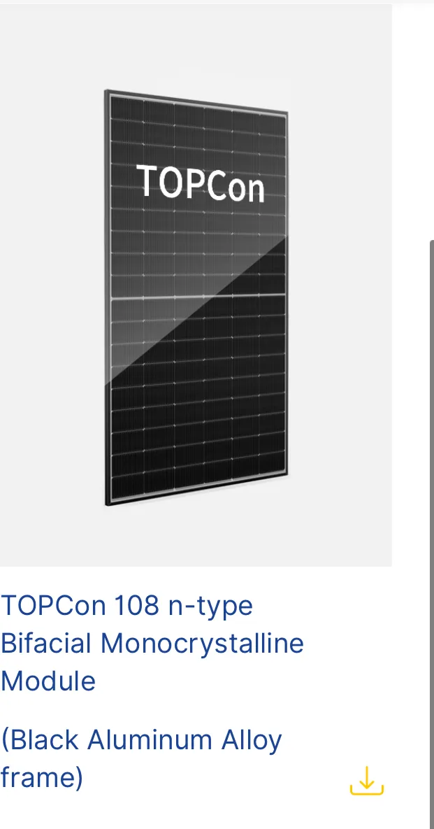 Risen TOPCon 108 n-type Bifacial Monocrystalline Module