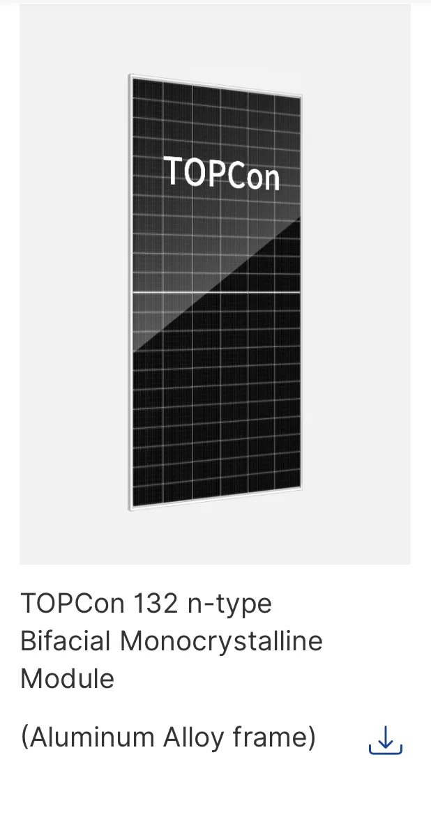 Risen TOPCon 132 n-type Bifacial Monocrystalline Module